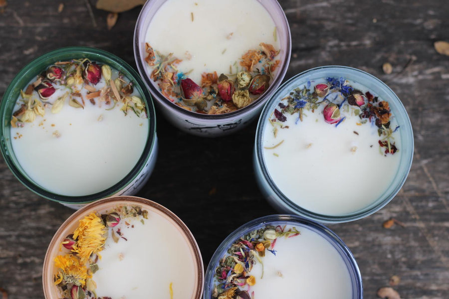 Horse Medicine Candle Holiday BUNDLE